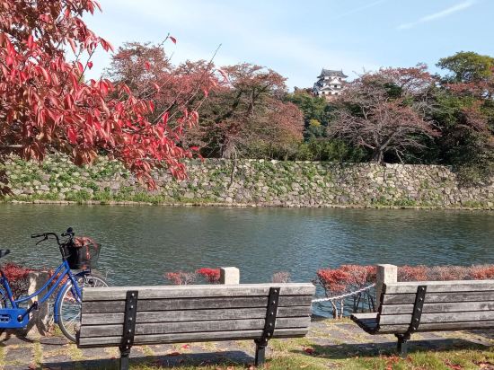 彥根舒適飯店優惠
