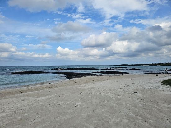 에벤에셀 호텔 쿠폰