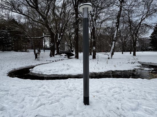 ホテルマイステイズ札幌駅北口 クーポン
