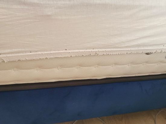 阿斯瑪裏酒店優惠