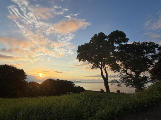 原城温泉　真砂 クーポン
