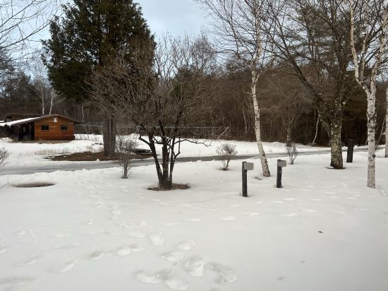 つたや季の宿　風里 クーポン