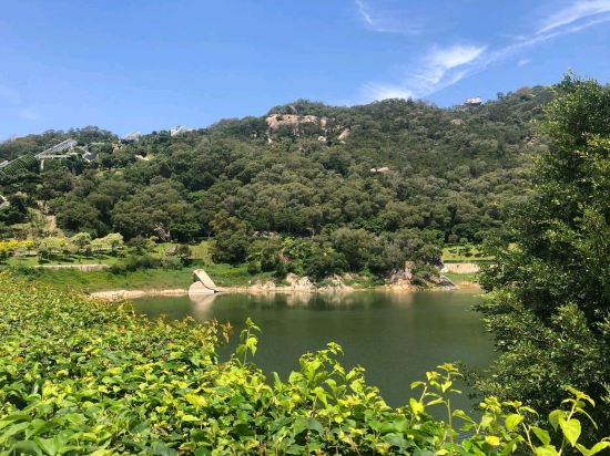 桔子水晶廈門中山路園林植物園飯店優惠