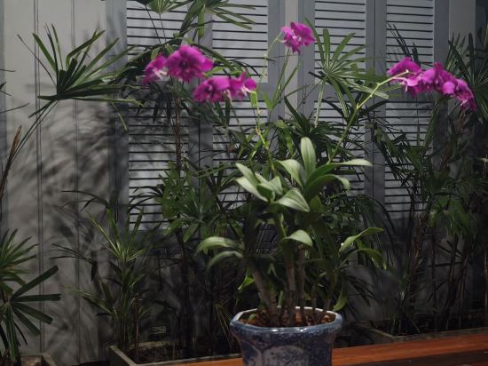 布吉昂昂回憶酒店（SHA Extra Plus）優惠