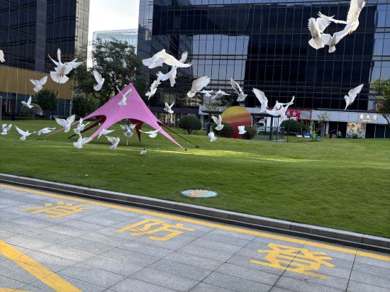 杭州未來科技城盈陽君亭酒店優惠