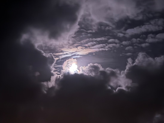 西表島ジャングルホテルパイヌマヤ クーポン