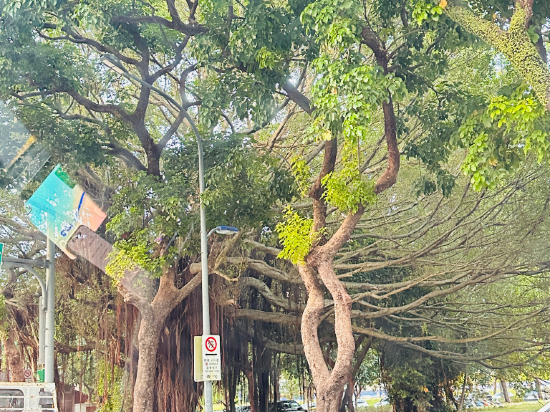 新舍商旅（桃園中壢館）優惠