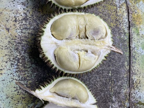 雪蘭莪士拉央美居酒店優惠