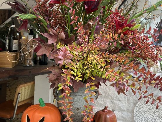 深圳6號花園酒店優惠