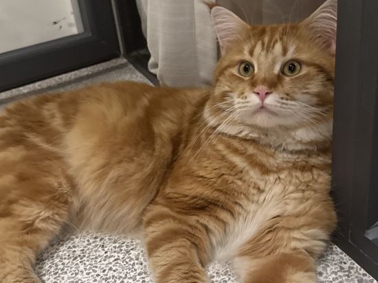 深圳INNOBAY楹諾·小半灣民宿優惠