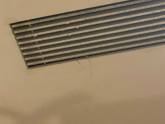 台北洛碁大飯店-驛優惠