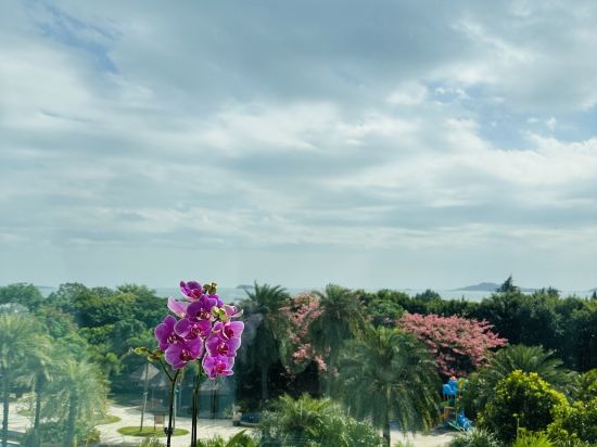 廈門海悅山莊飯店優惠