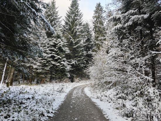 NH法蘭克福空港酒店優惠
