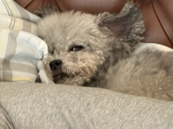 北京怡亨酒店優惠