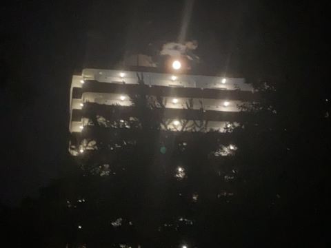 都城ロイヤルホテル クーポン