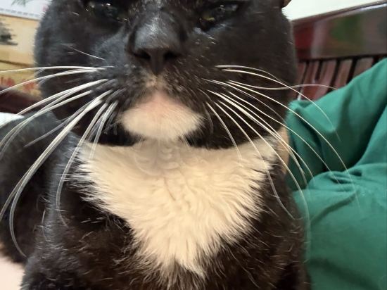 今古安民宿優惠