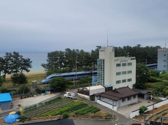 Dawoo Resortel 쿠폰