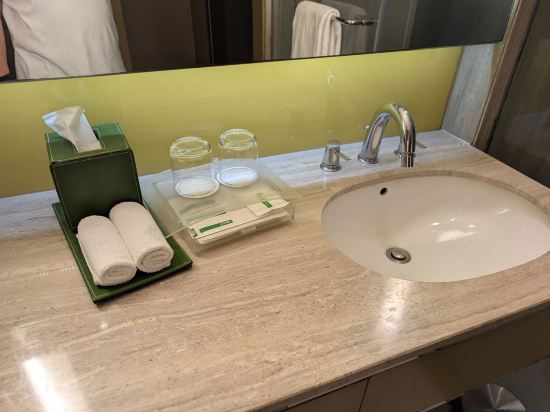 新德里國際機場假日旅館優惠