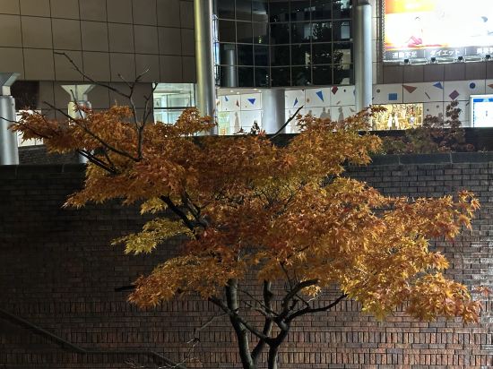 札幌京阪飯店優惠