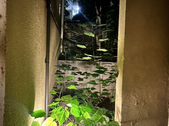 眺望の宿　しおり クーポン