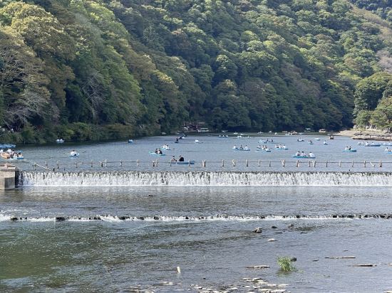 ホテル 嵯峨野 - 成人の方限定 クーポン