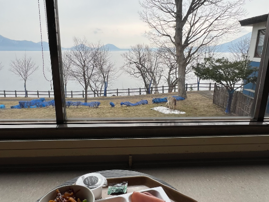 丸駒温泉旅館 クーポン