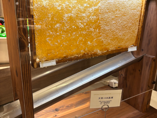 新大阪江阪東急REI飯店優惠