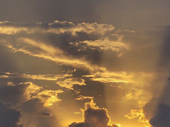 清遠鳳城希爾頓歡朋酒店優惠