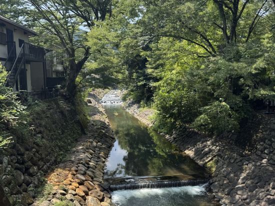伊豆修善寺溫泉飯店-滝亭優惠