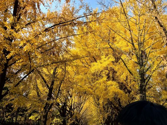 北京粵財JW萬豪酒店優惠