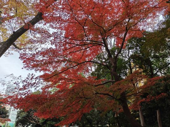 東京日暮里奧維力膠囊旅館優惠