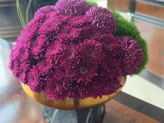 珠海瑞吉酒店優惠