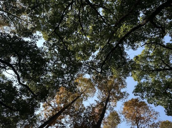 上海西郊賓館優惠