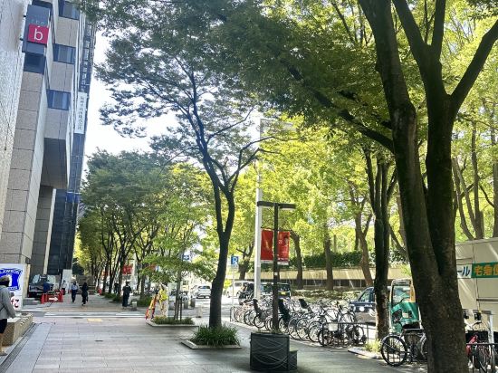 the b 名古屋 クーポン