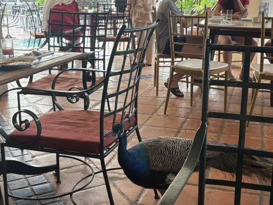 迪克森海中天港口優惠