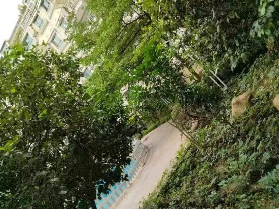 廣州桔樹·銘泰公寓優惠