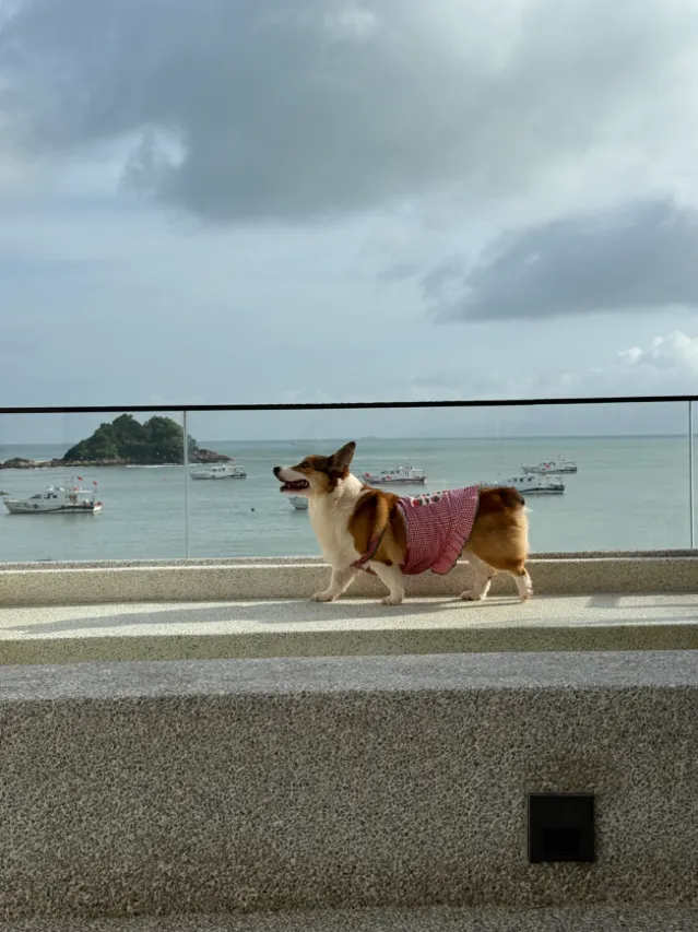 深圳INNOBAY楹諾·小半灣民宿用戶評價