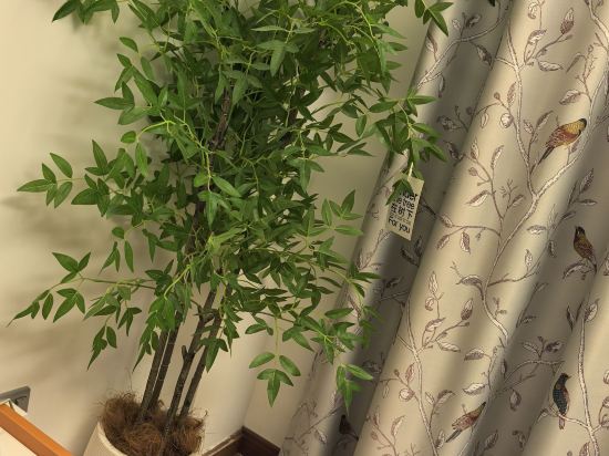 成都秋瑾民宿（太古裡店）優惠