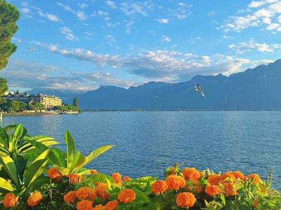 蒙特勒瑞士雄偉大傲途格精選酒店酒店優惠