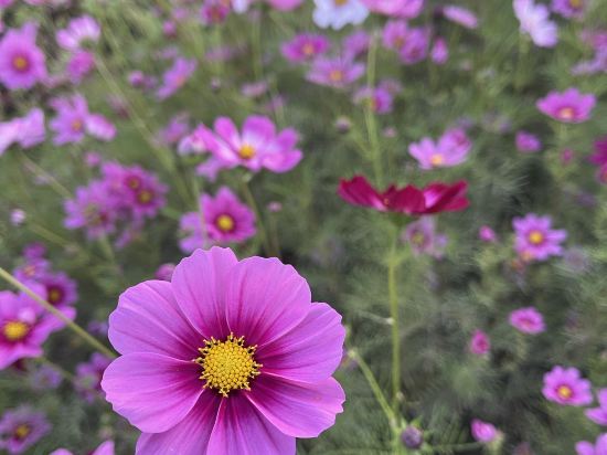 古北水鎮烏鎮會精品酒店優惠