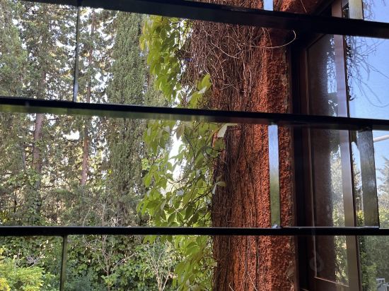 阿里薩若斯波塞爾優惠