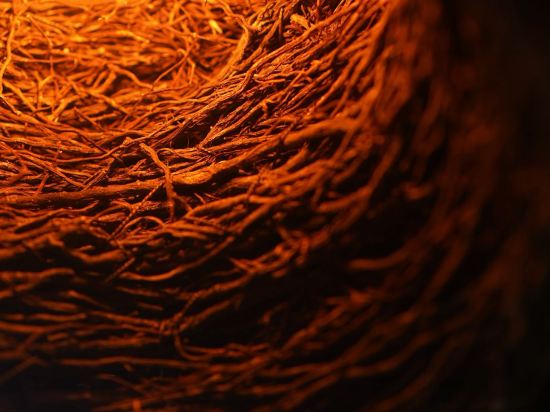 珠海度假村酒店優惠