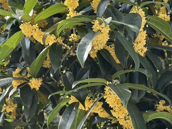 杭州未遠飯店優惠