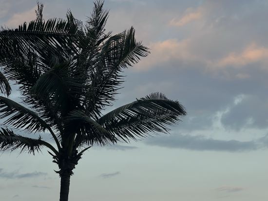 三亞半山半島洲際度假酒店優惠