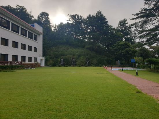 춘천 세종호텔 쿠폰