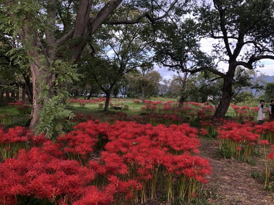 山水閣ハウス クーポン