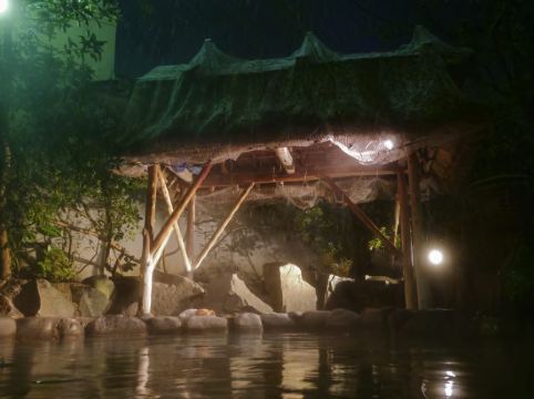 朝野家 クーポン