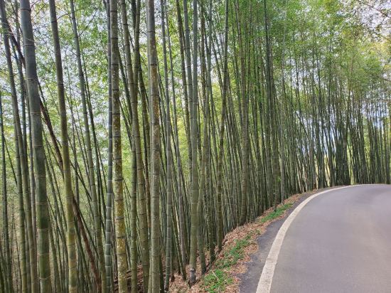 嘉義梅山瑞裡渡假村歐湘園飯店優惠