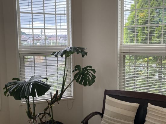 ファミリーロッジ旅籠屋・北九州八幡店 クーポン