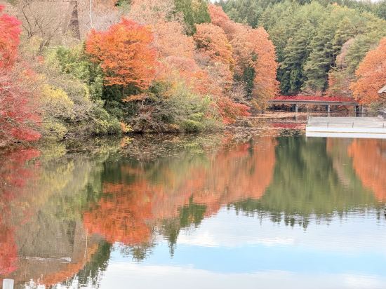 星野リゾート 青森屋 クーポン